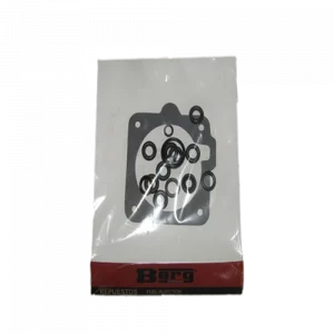 REPUESTO FUEL INJECTION - BERG-0331