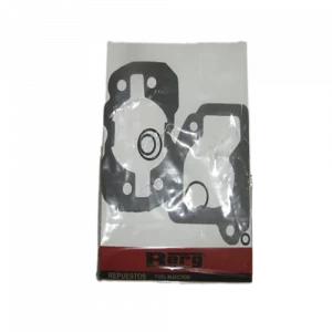 REPUESTO FUEL INJECTION - BERG-0335