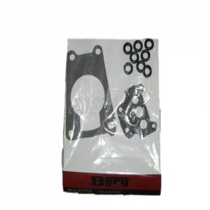 REPUESTO FUEL INJECTION - BERG-0337