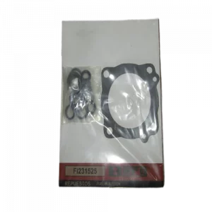 REPUESTO FUEL INJECTION - BERG-0339