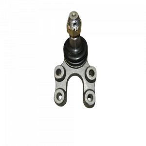 ROTULA INFERIOR - N-1647
