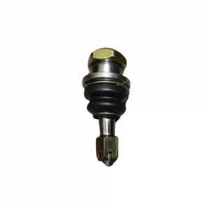 ROTULA INFERIOR - N-1653