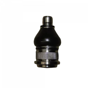 ROTULA INFERIOR - N-1662